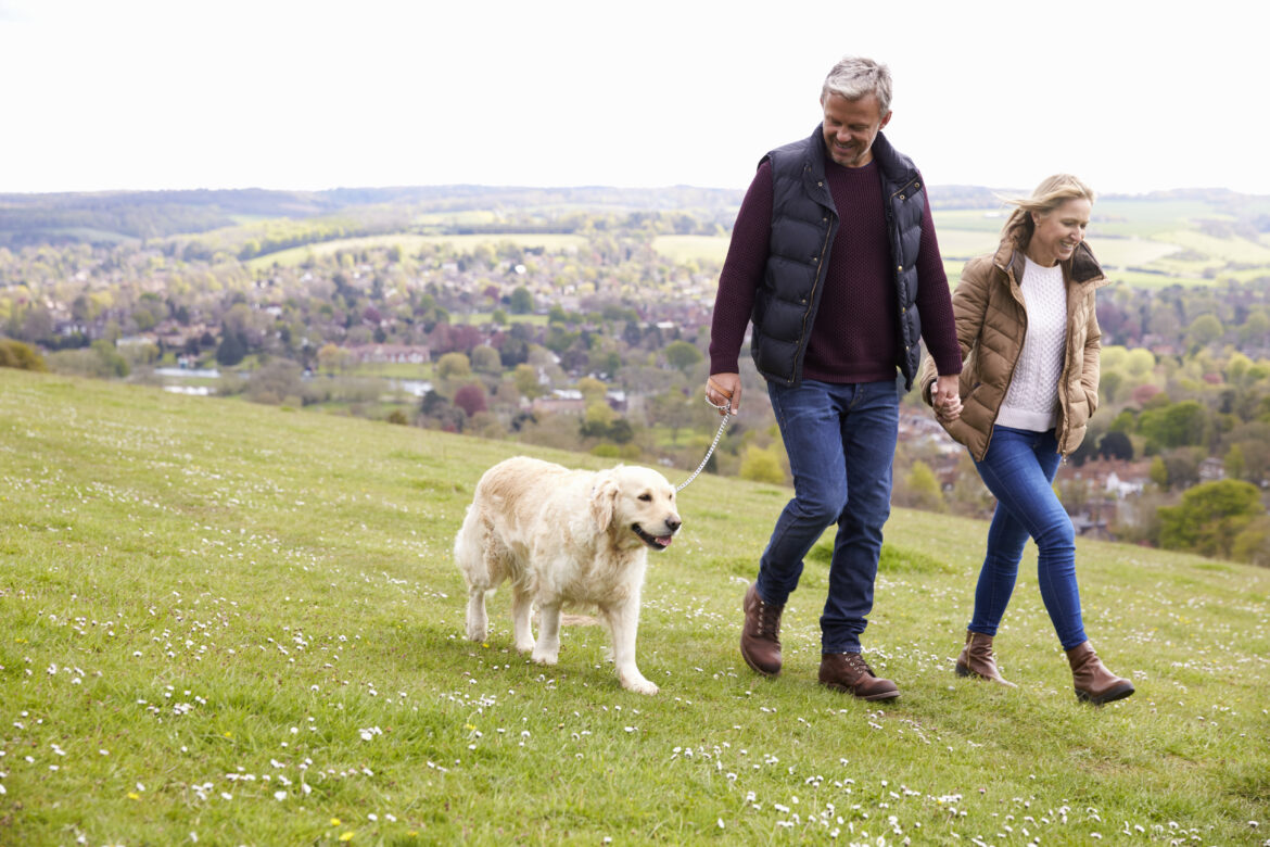 Mature,Couple,Taking,Golden,Retriever,For,Walk